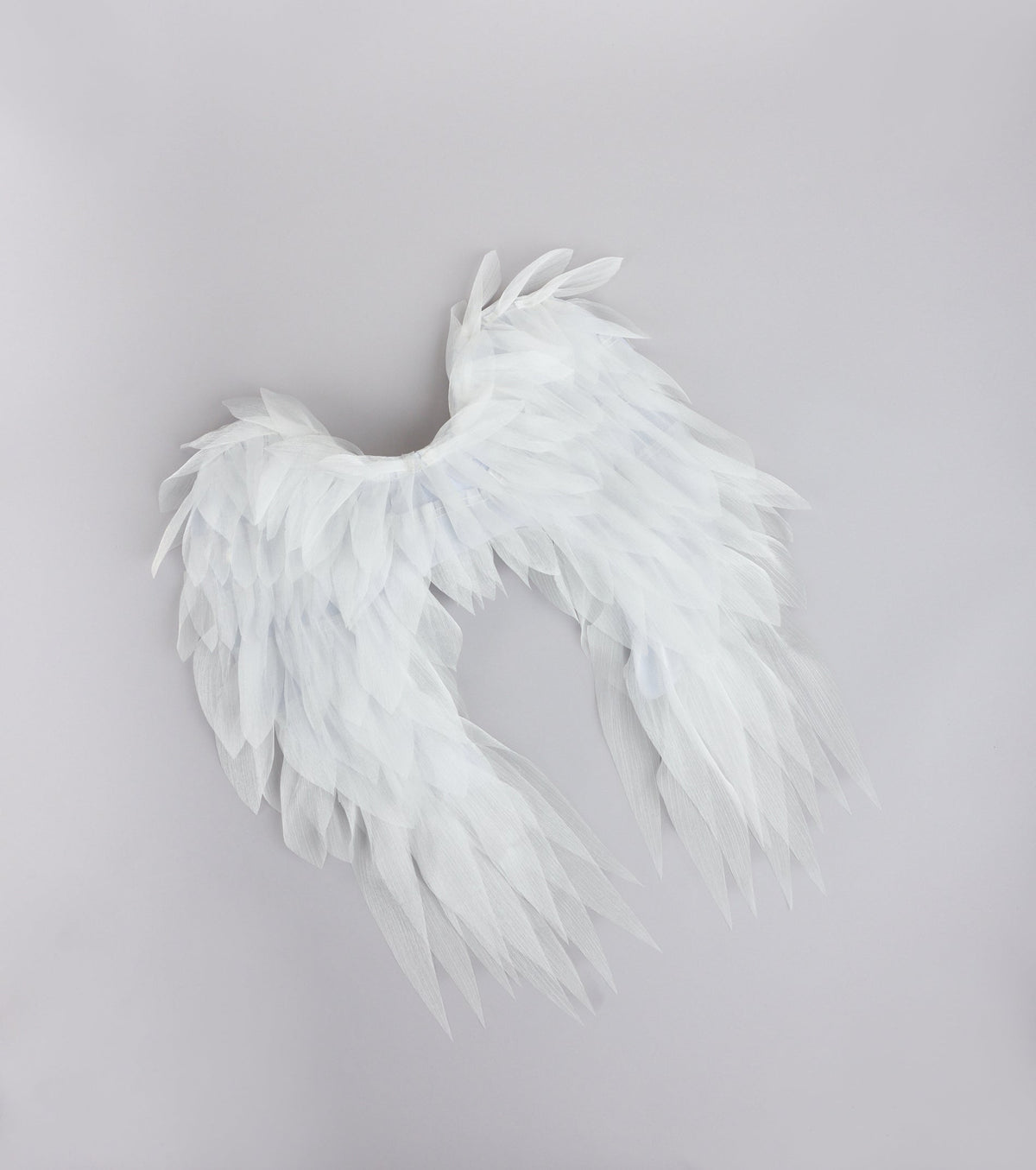 Heaven Sent Angel Wings