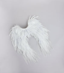 Heaven Sent Angel Wings